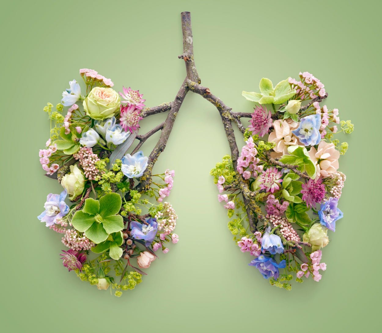Small divided branch to represent lungs, with fresh flowers and greenery on each side of the divided branch 