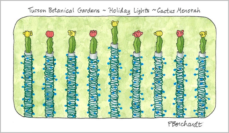 Tucson Botanical Gardens ~ Holiday Lights ~ Cactus Menorah (watercolor, pen & graphite)