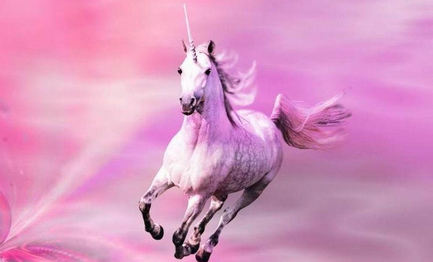 Realistic, if corny, illustration of pink unicorn galloping majestically toward you.