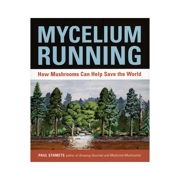 Mycelium Running