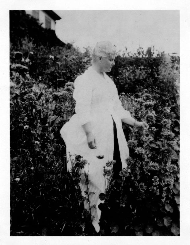 19th century Maine poet Celia Thaxter in her garden
