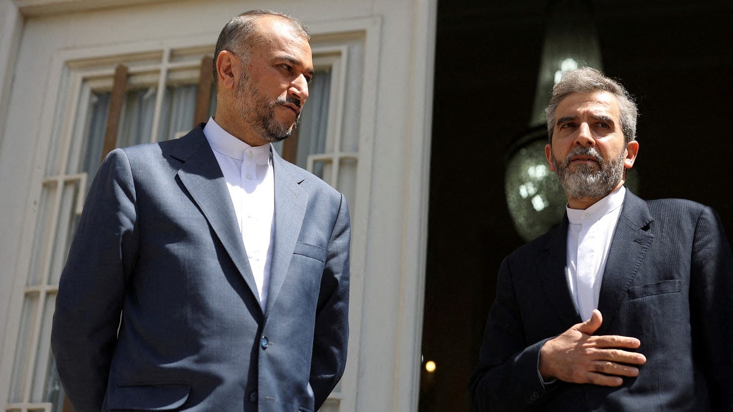 Iran's late foreign minister Hossein Amir-Abdollahian speaks with chief nuclear negotiator Ali Bagheri Kani in Tehran, 23 June, 2022 (Reuters/Majid Asgaripour/WANA)