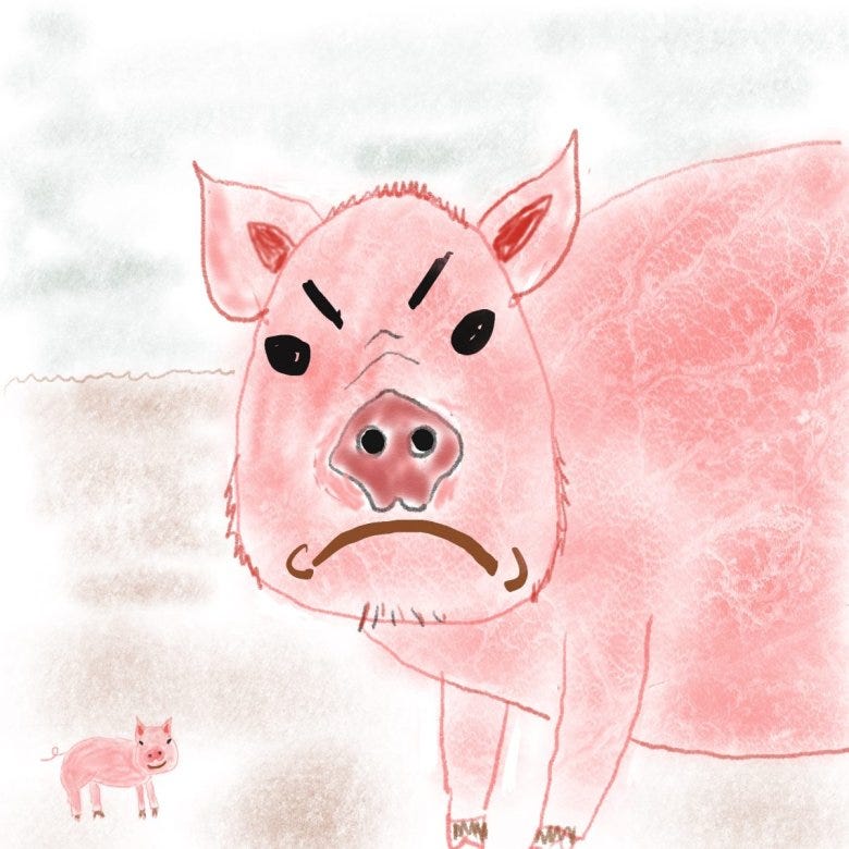 A cartoon drawing of a piglet, on the left, and a big hog, on the right, at the National Western Stock Show.