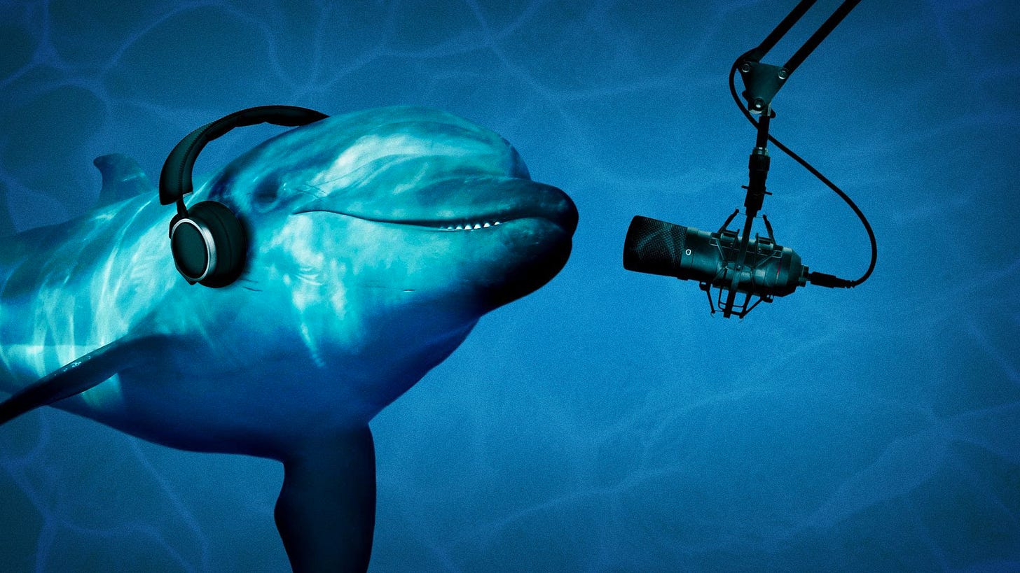 Illustration of a dolphin wearing podcasting equipment.