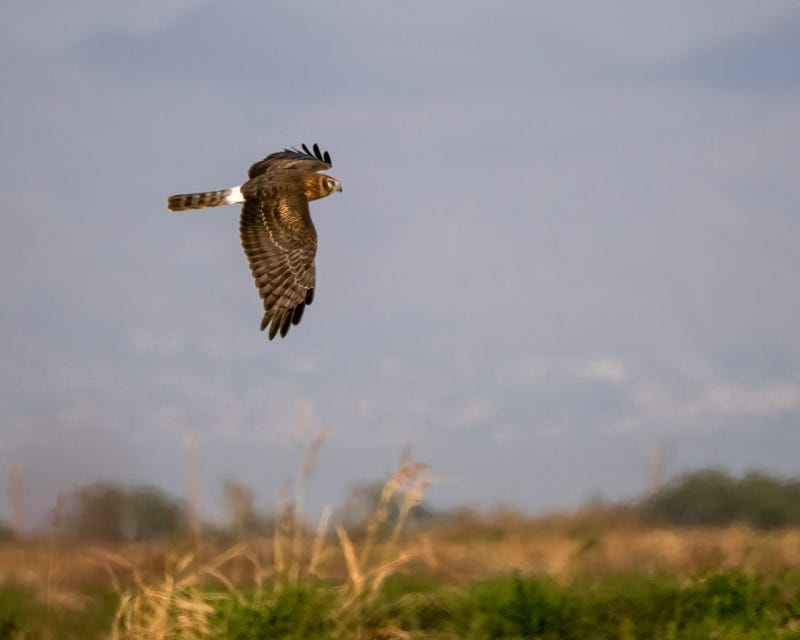 20241205-Manville-356-Edit.jpg