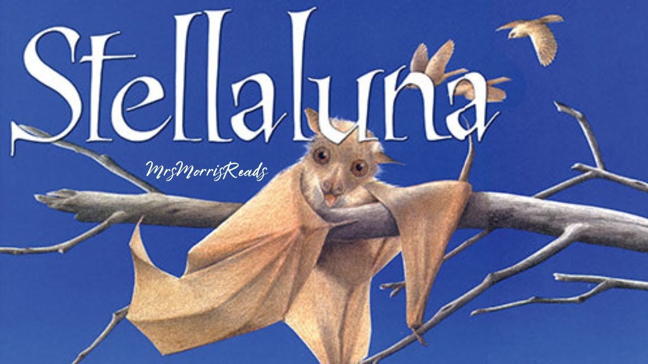 STELLALUNA Read Aloud - YouTube