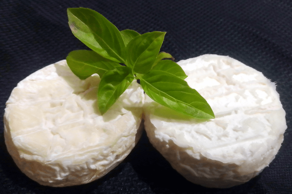 Rounds of hand-made French goats cheese. (c) Chris Aspinall, 2023