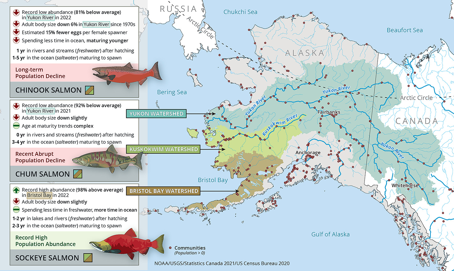 https://arctic.noaa.gov/wp-content/uploads/2023/11/ARC23-Salmon-schoen-Fig1.png