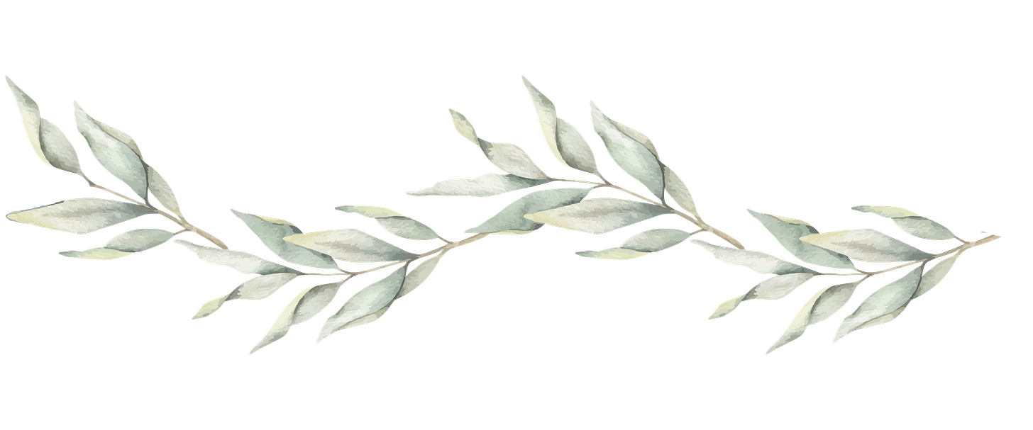 Illustration of a branch full of green leaves