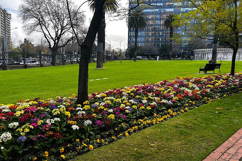 A flowerbed in a garden in Melbourne.