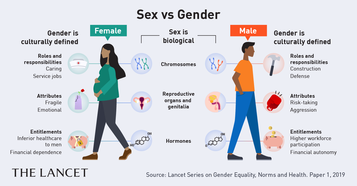 Sex Versus Gender; Which One Should Be Used Where in Medical Scientific  Writing? | by Sina Azadnajafabad | Medium