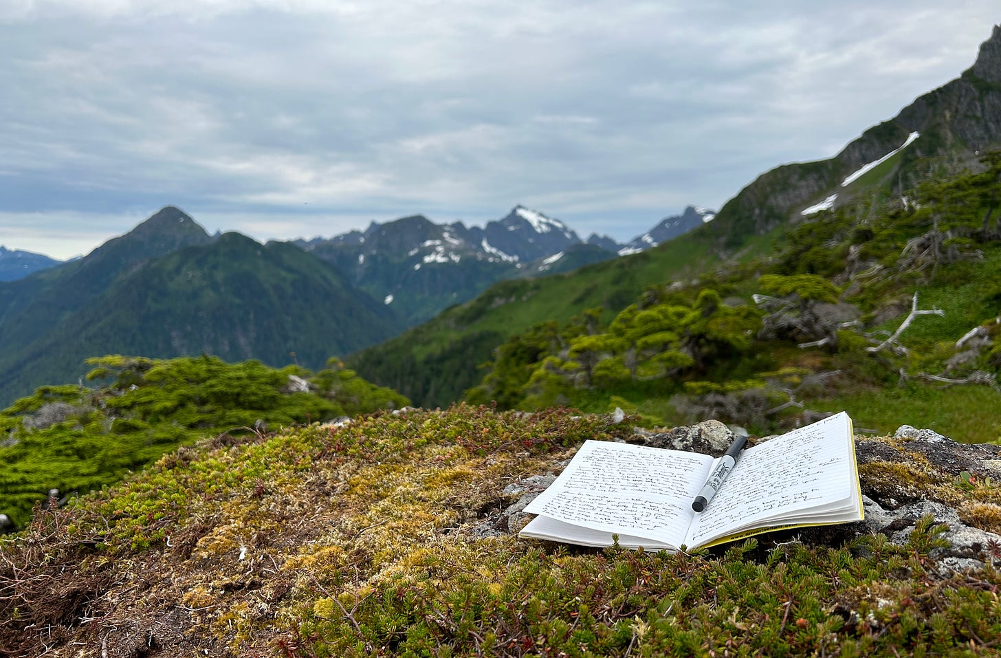 Journal open with a pen and some writing, on a mountain ridge.