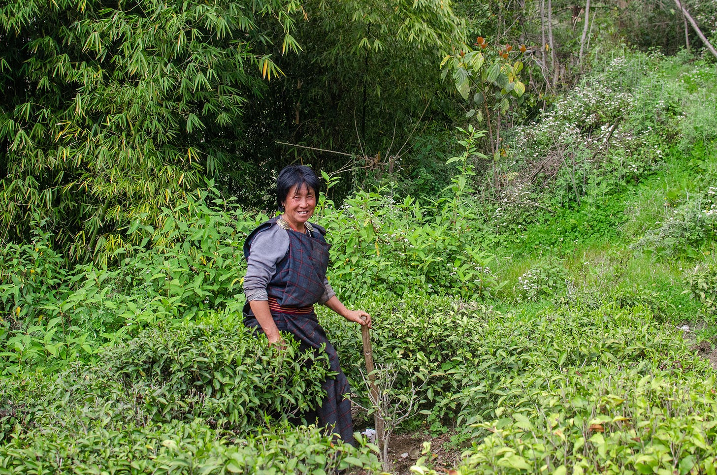 ID: Tea farmer in Samcholing, Bhutan