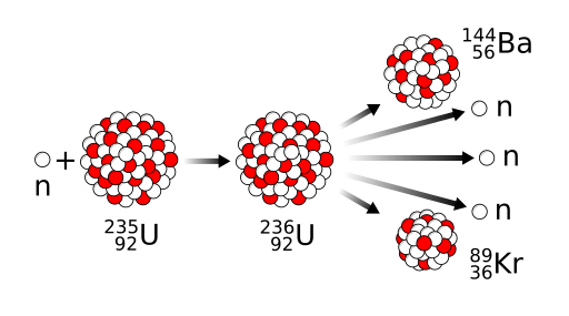 Fission of an Uranium Atom