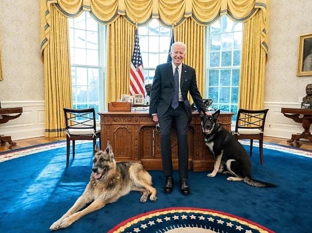 Miért kóborol Biden összes Fehér Házi kutyája?