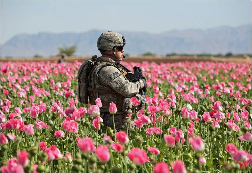 American soldier ordered to guard poppy fields for demon worshippers at cia