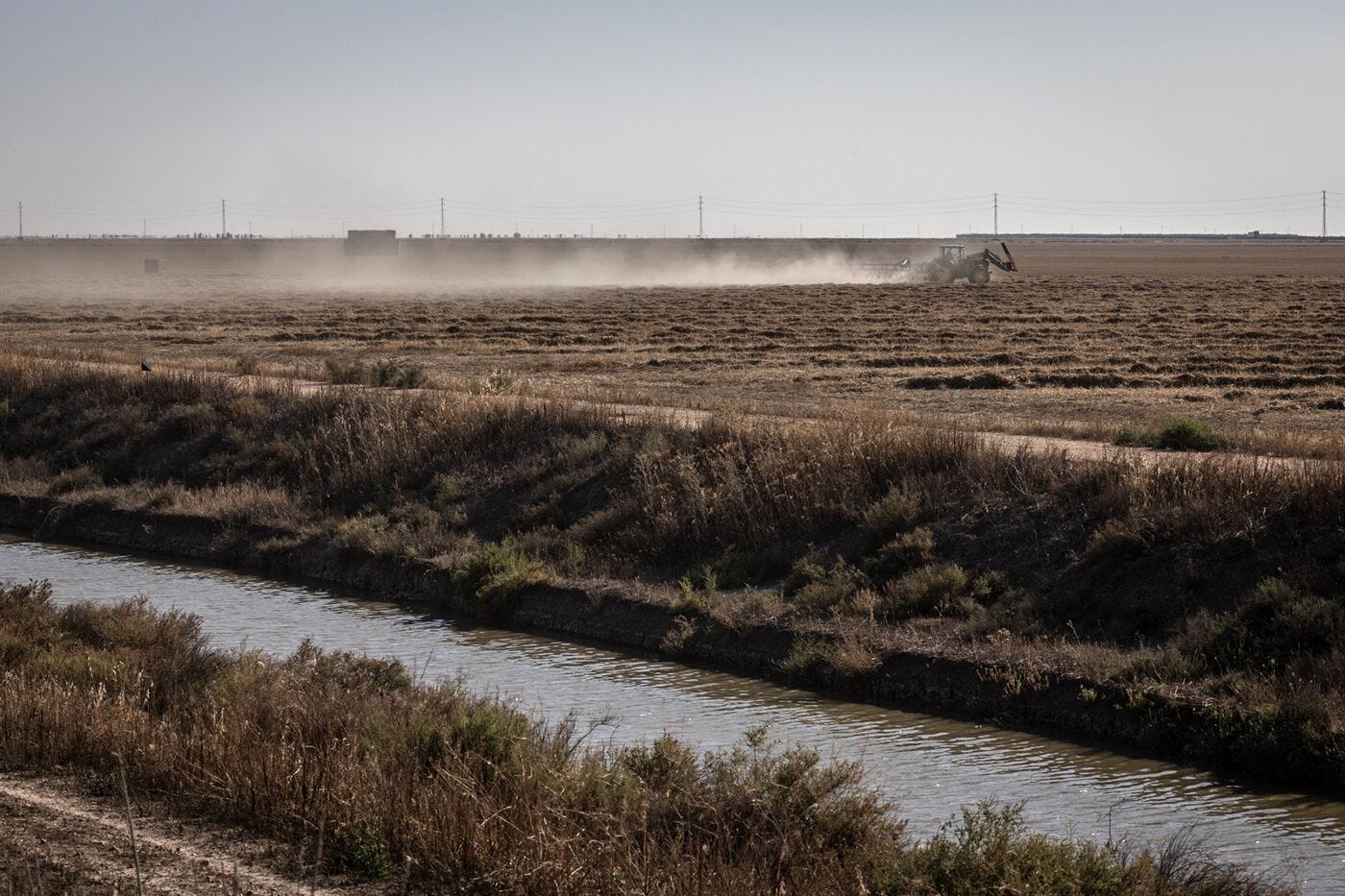 relates to Spain’s Climate Election Pits Water Police Against Angry Berry Farmers