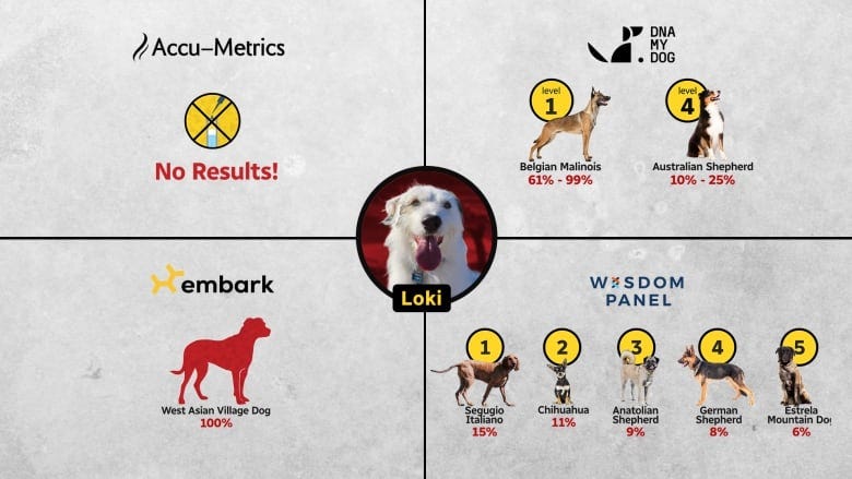 A chart with results from different companies. 