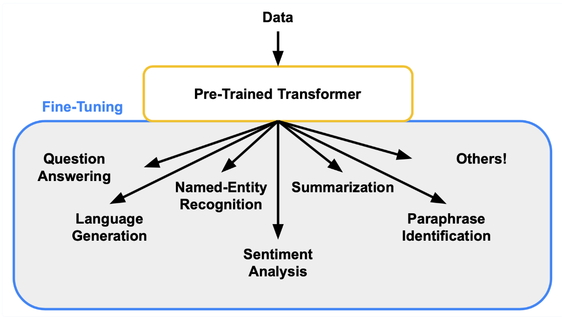 Data is used to fine-tune pre-trained transformers for various use cases