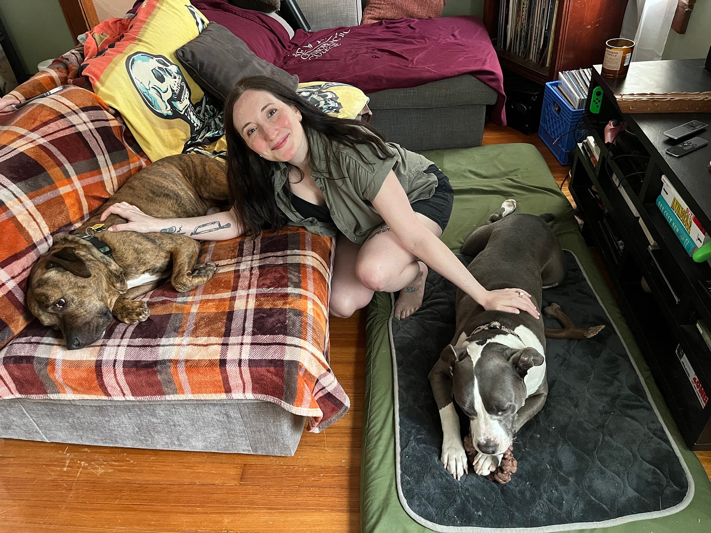 Me, a white woman with dark hair in shorts, crouched between two relaxing pitbulls