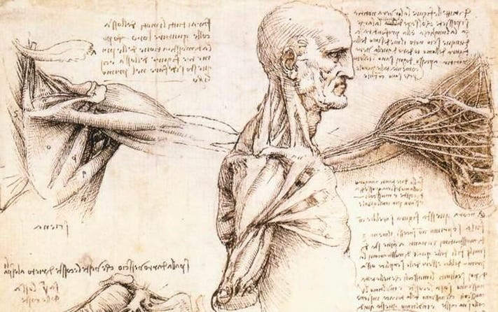 Leonardo Da Vinci's Scientific Studies, 500 Years Later