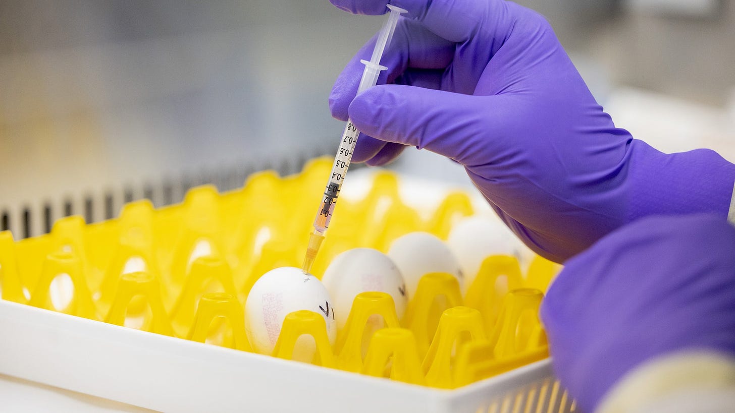 Do We Have Enough Bird Flu Vaccines for a Potential Pandemic? | Scientific  American