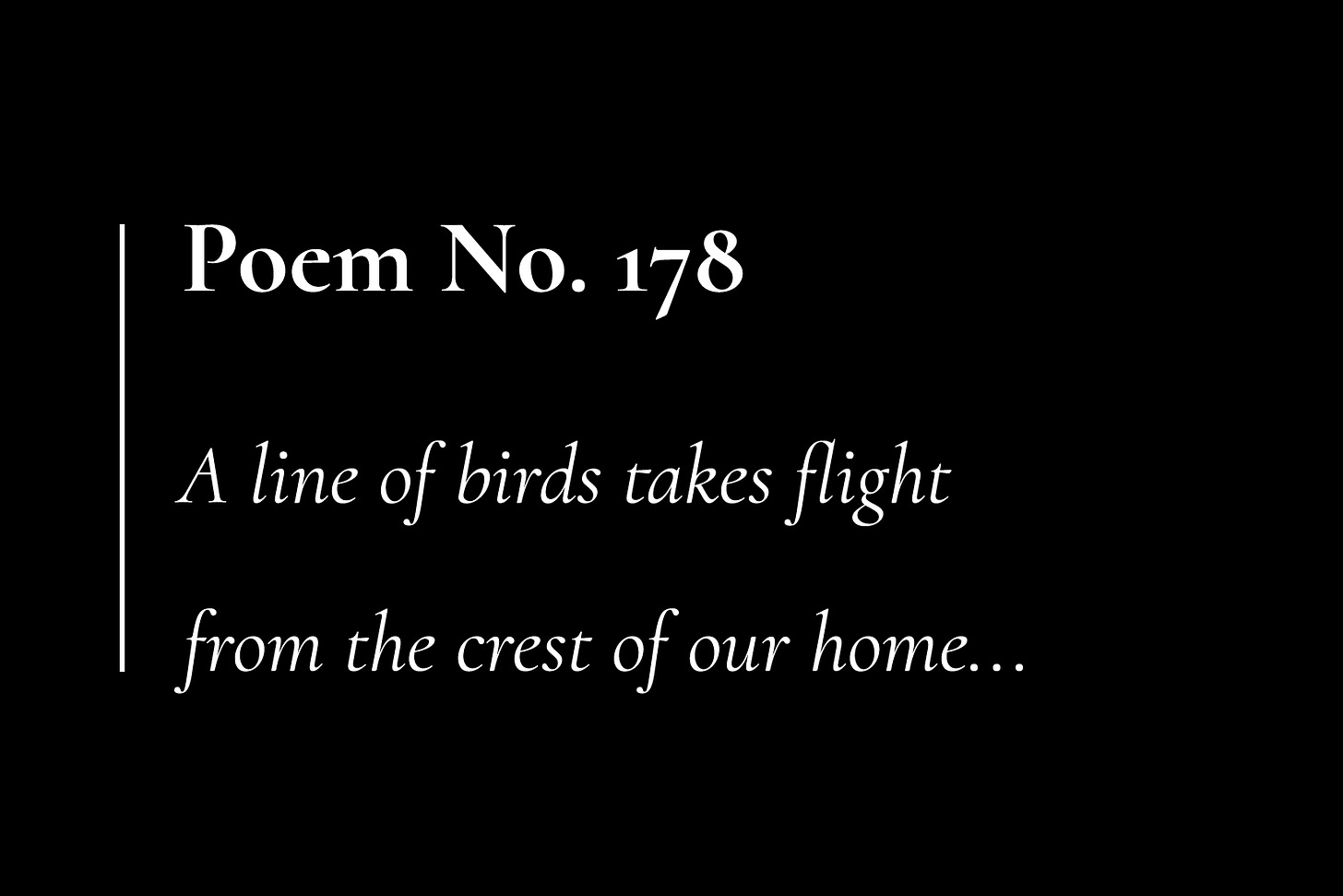 White text on a black card, which reads: "Poem No. 178 — A line of birds takes flight from the crest of our home..."