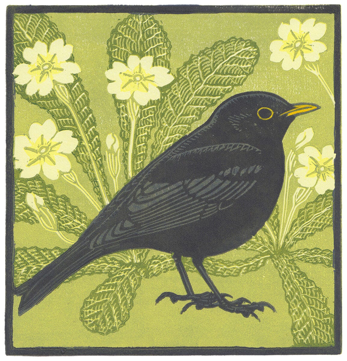 Art of a blackbird with primroses in the background