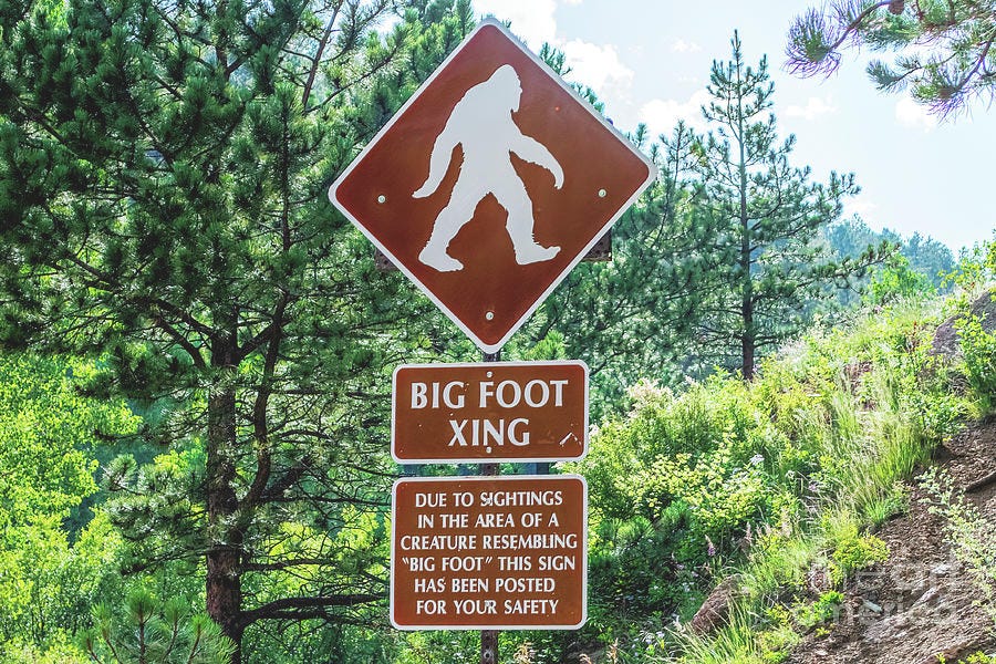 Bigfoot Crossing Photograph by Jennifer Jenson - Fine Art America