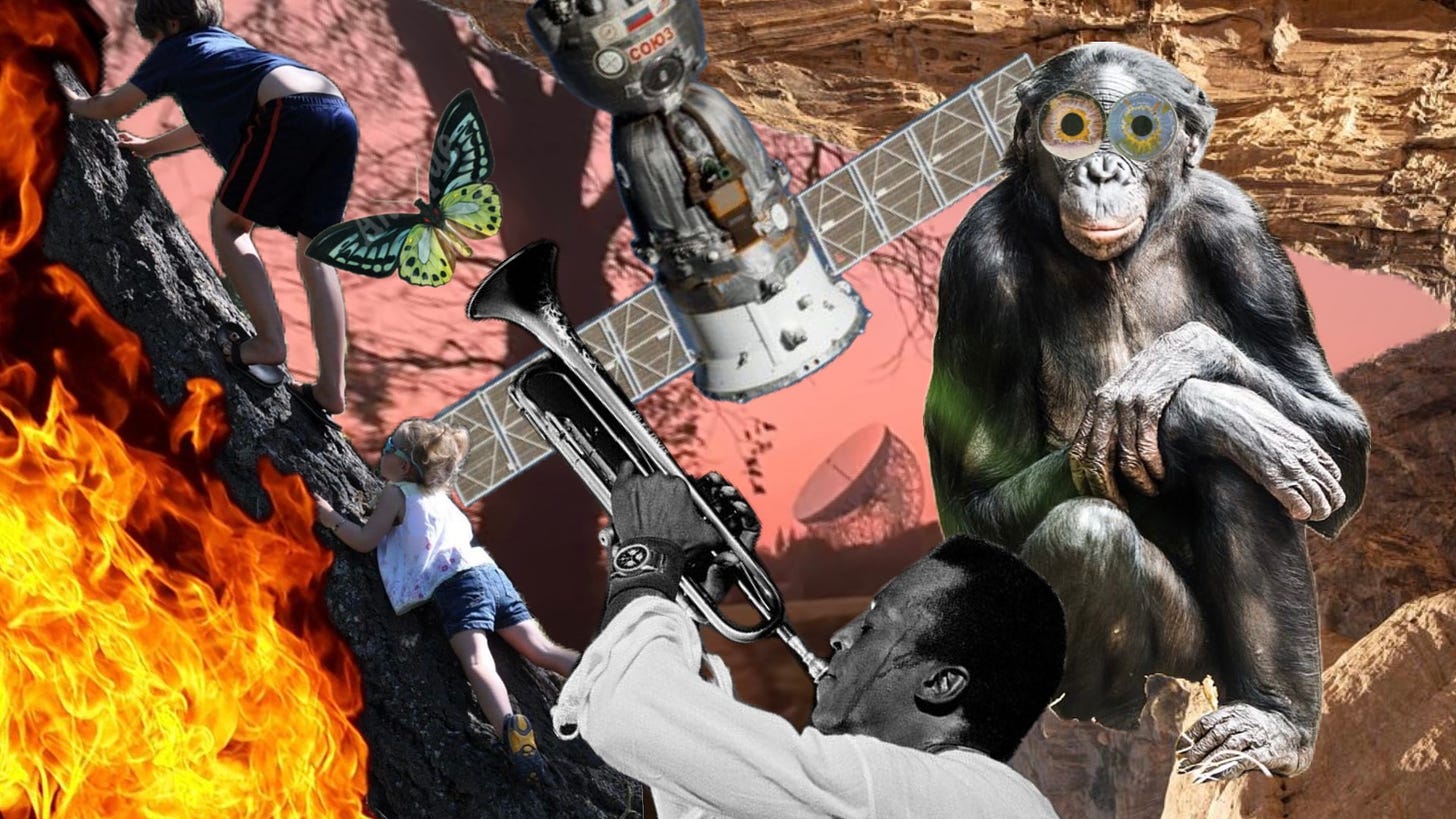This image is a collage of various unrelated elements. On the left, there’s a photo of two children climbing a tree with flames superimposed at the bottom, creating the illusion that the tree is on fire. A vibrant green and yellow butterfly is superimposed near the children. In the top center, there’s an image of a satellite or space module with solar panels extended. On the right, a chimpanzee is seated, looking thoughtful, with oversized cartoonish yellow eyeglasses added to its face. In the bottom right corner, a black and white photo of a man playing a trumpet is inserted. He appears to be blowing into the instrument with great effort, and his stance suggests he is passionately involved in the music. The background features rocky terrains and hints of vegetation. Overall, the collage creates a surreal and chaotic scene.
