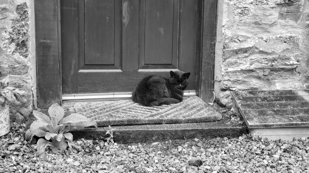 A black cat asleep curled up on a mat in front of a wooden door