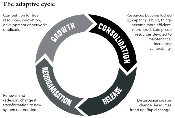 Diagram of the adaptive cycle in black and white - Growth - Consolidation - Release - Reorganisation
