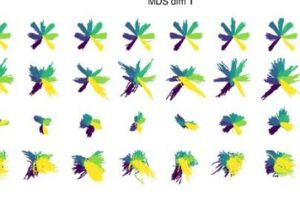 Hand trajectories linearly decoded from MARBLE representations show much stronger spatial correspondence to ground-truth kinematics (top row) than other deep learning methods (LFADS, bottom row) © LTS2 EPFL