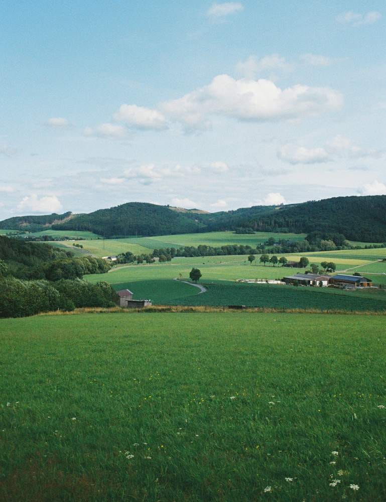 A landscape of rolling green hills matted with forest and fields, under a light blue sky.