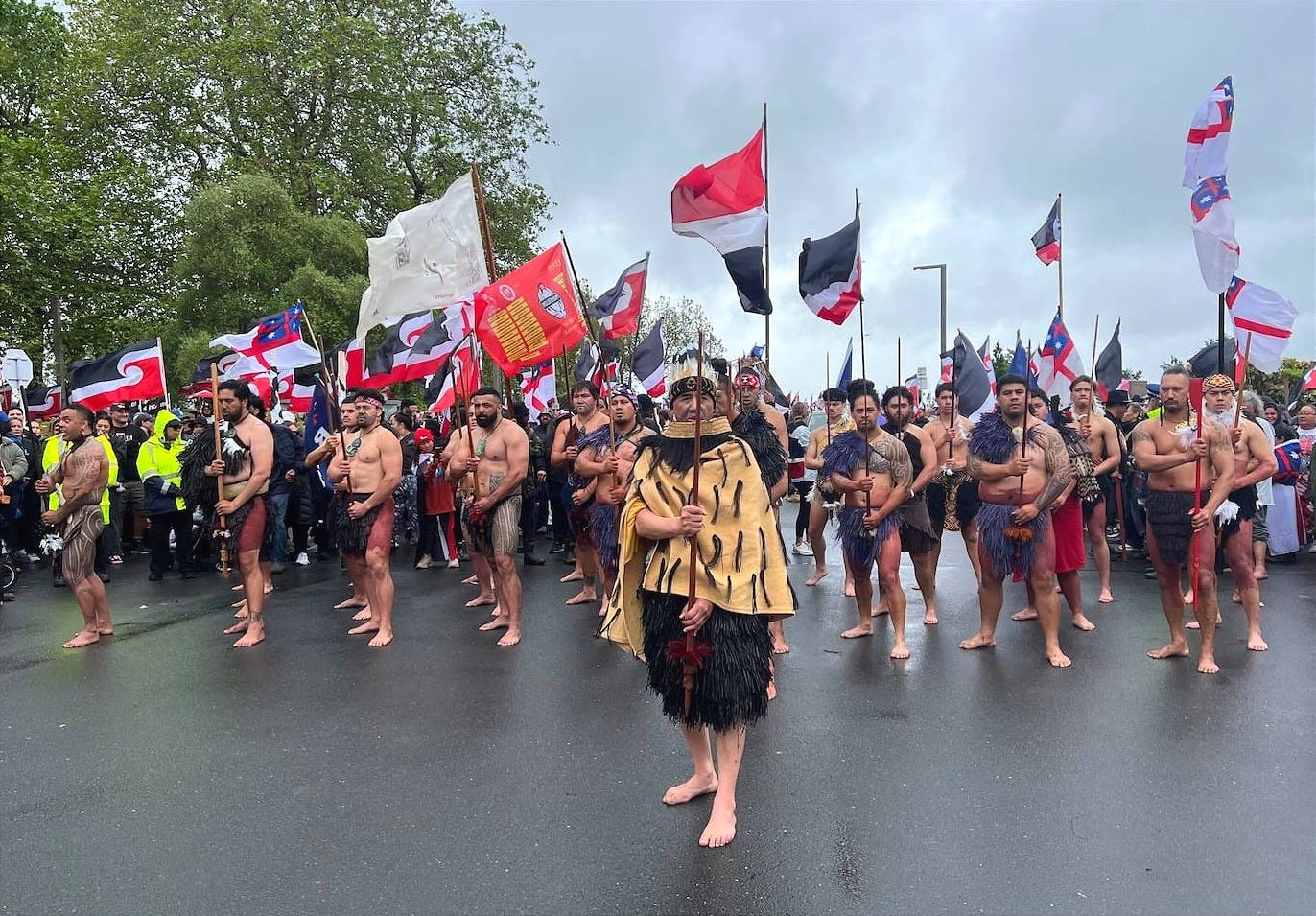  The hīkoi preparing to leave the Village Green. Photo / Kelly Makiha