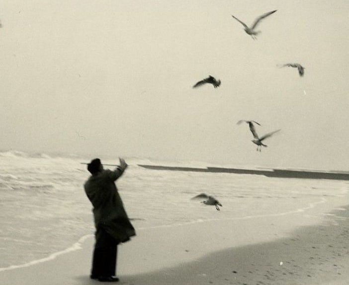 This may contain: a man standing on top of a beach next to the ocean with seagulls flying over him