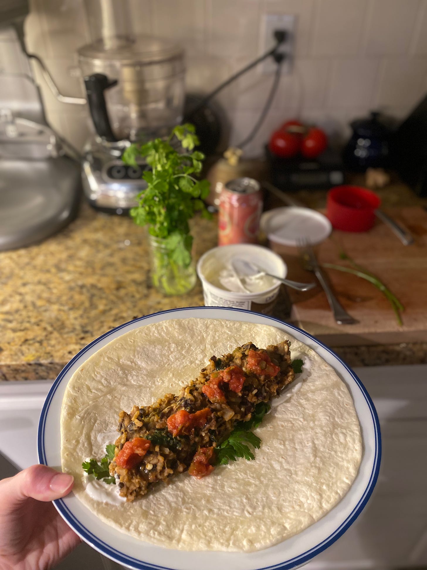 A plate with the burrito filling described above, on top of sour cream and cilantro, with salsa on top. On the counter in the background is a jar with fresh cilantro in it, and containers of the sour cream and salsa.
