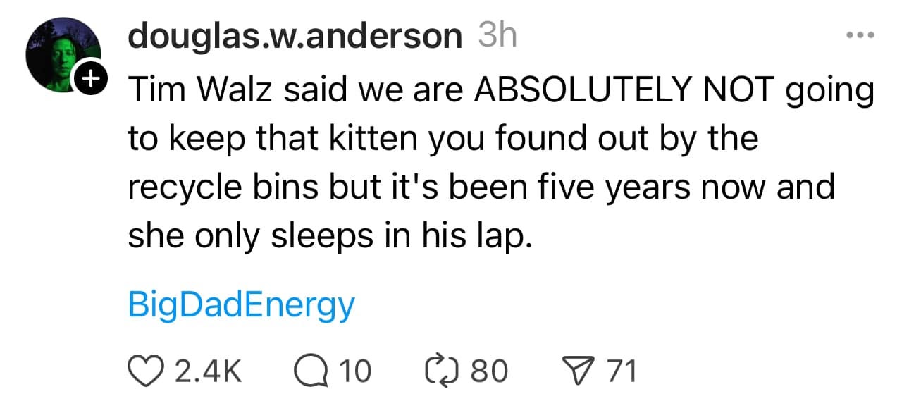 "Tim Walz said we are ABSOLUTELY NOT going to keep that kitten you found out by the recycle bins but it's been five years and she only sleeps in his lap.