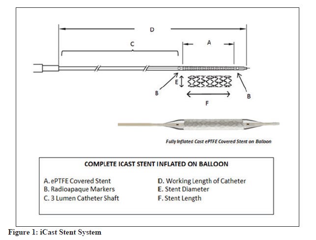 iCast System 