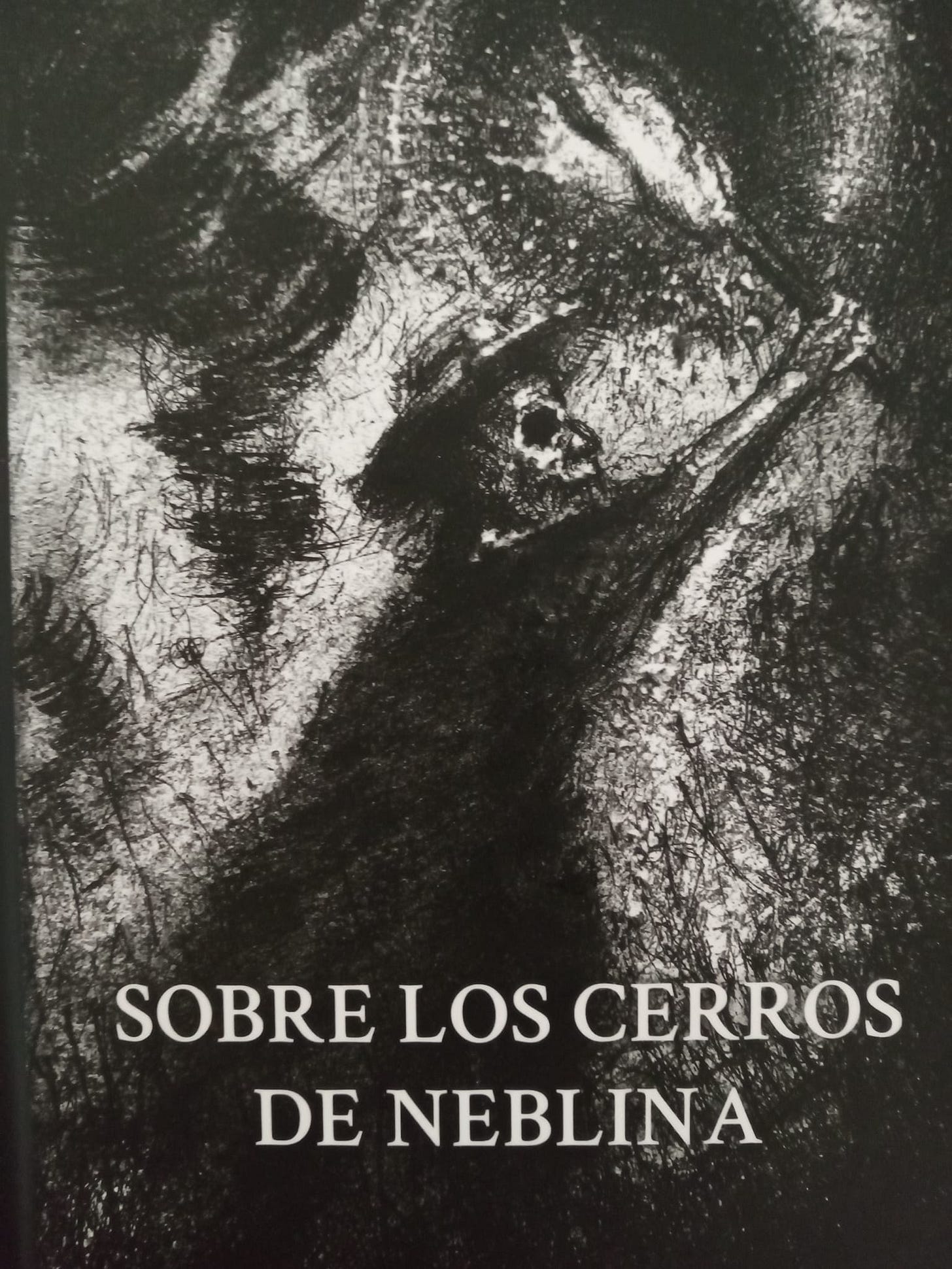 Sobre los cerros de neblina:novela sobre las entretelas del poder