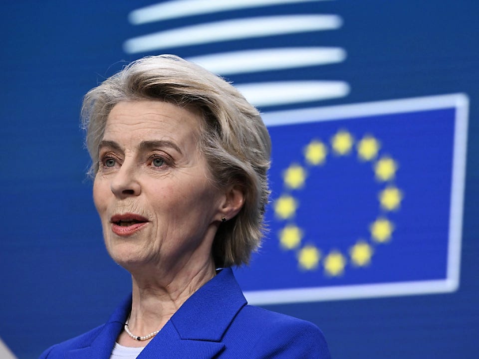 欧盟委员会主席 Ursula von der Leyen