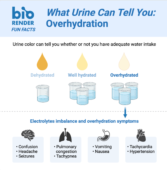 A chart of how to tell if someone is hydrated based on the color of their urine and the consequences of electrolyte imbalance