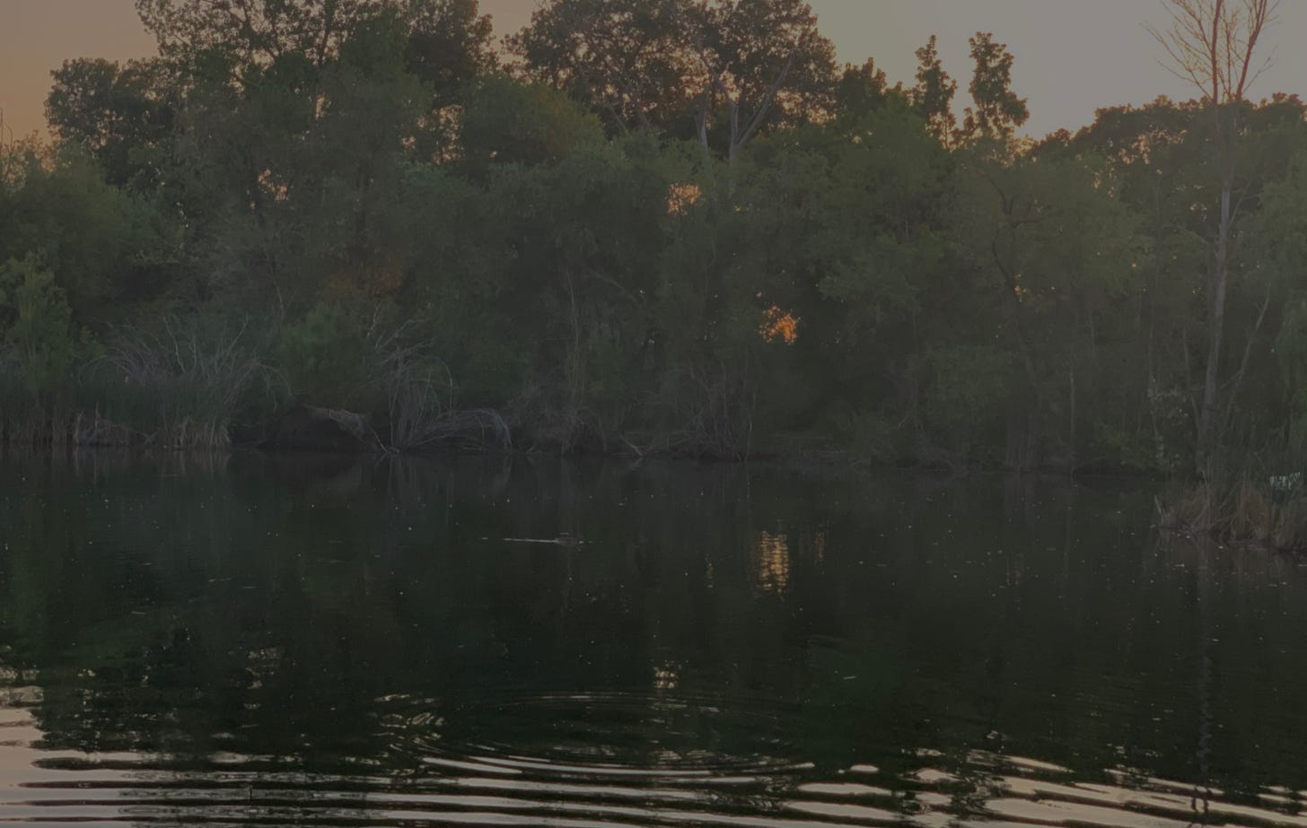 A lake at dusk