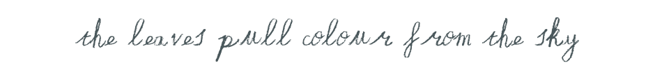 An image with the words: the leaves pull colour from the sky, the font is a soft crayon style handwriting.