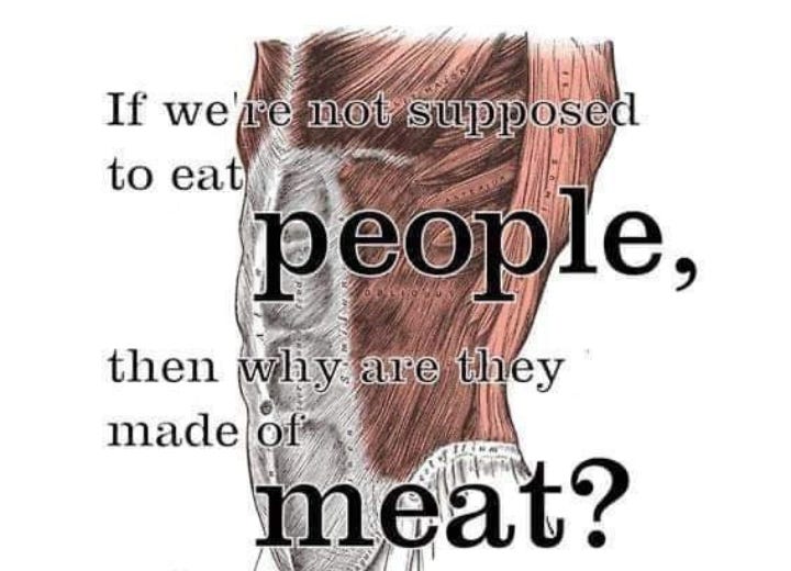 By this logic, anything made of 'meat' is fair game to eat—including humans. Yet we don’t, because morality and compassion guide our choices. Extending that compassion to all beings is what veganism is about. 🌱