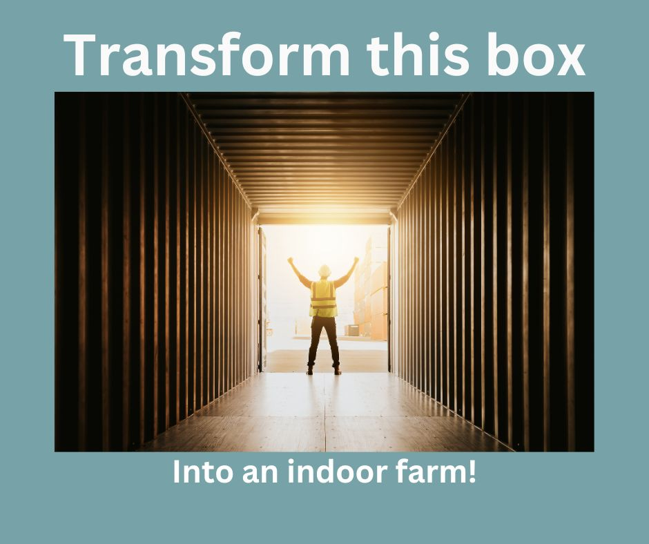 Person standing in the doorway of an empty shipping container