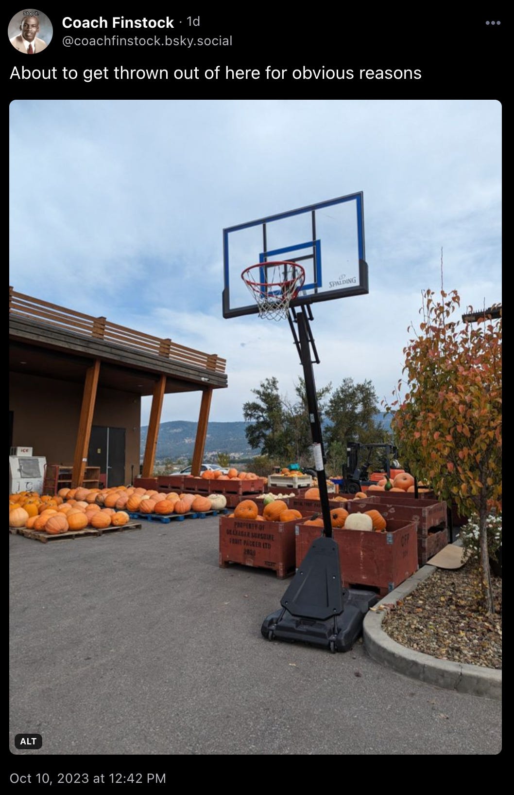 Coach Finstock skeeted a picture of a lot of pallets and boxes full of pumpkins sitting around a portable basketball hoop, with the text “About to get thrown out of here for obvious reasons”