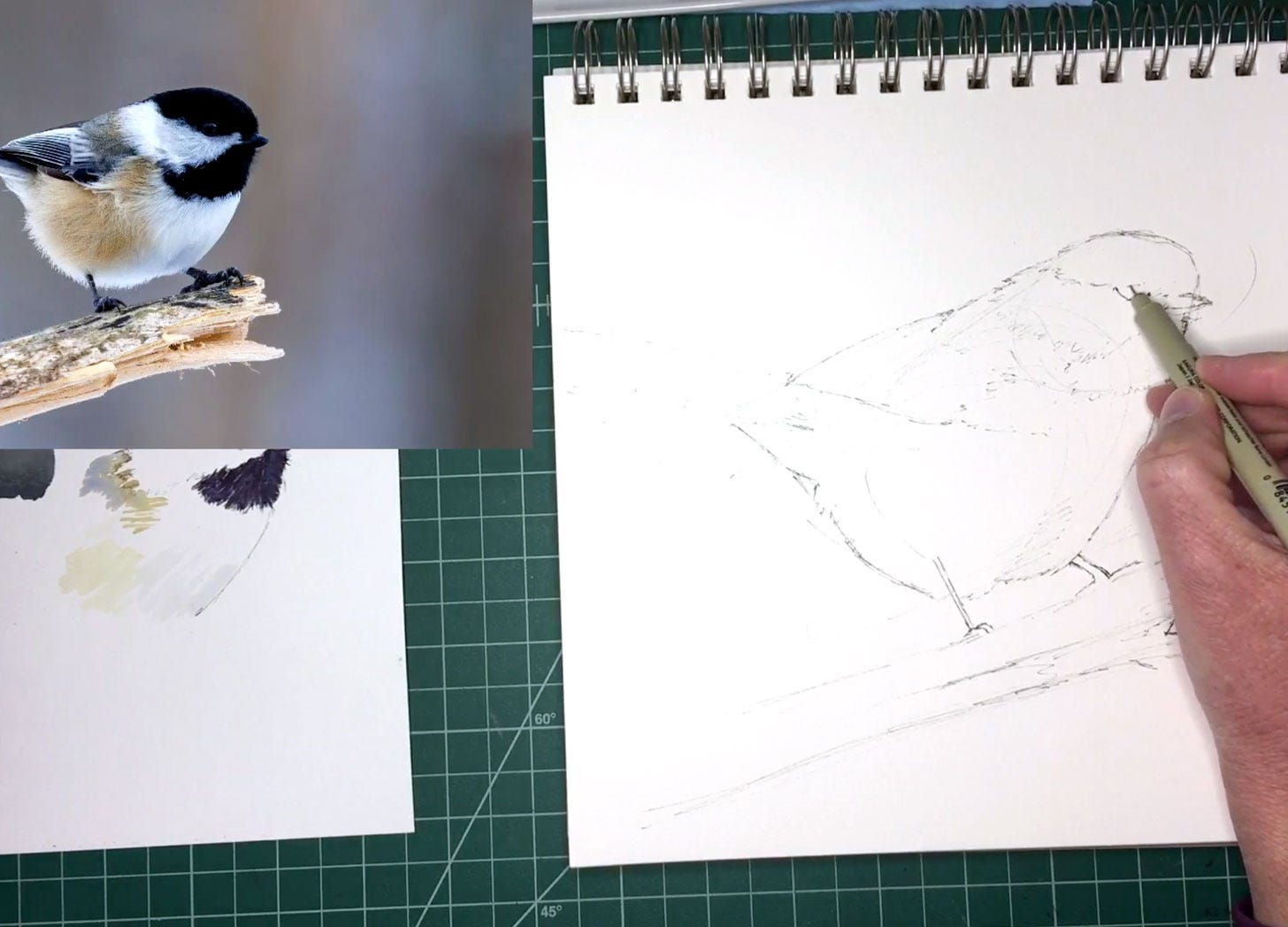sketching a bird with pen