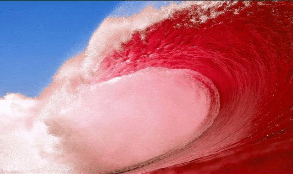 HAPPY RED WAVE DAY. Join me tonite 5-10pm @ Bellevue Hyatt. I wanna say ...