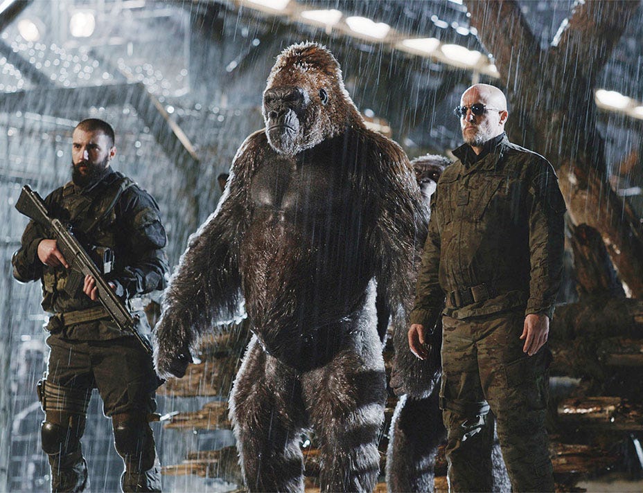 Box-Office Preview: 'War for the Planet of the Apes' to Battle 'Spider-Man'  – The Hollywood Reporter